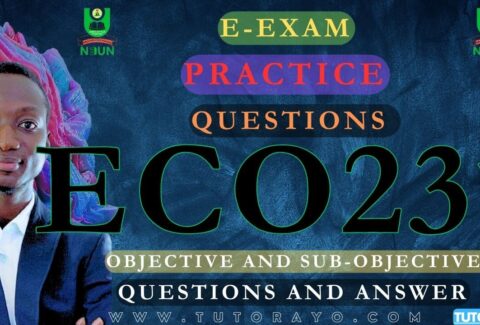 ECO231 CBT EXAM PRACTICE QUESTIONS