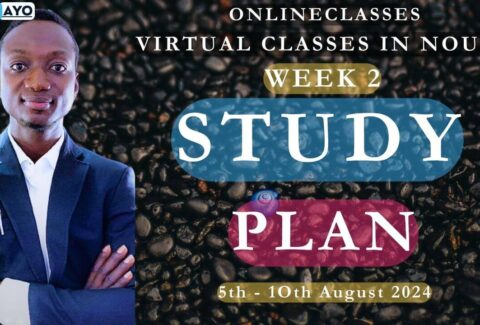 STUDY PLAN; WEEK 2 VIRTUAL CLASSES IN NOUN