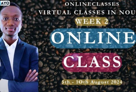 WEEK TWO; NOUN VIRTUAL CLASSES